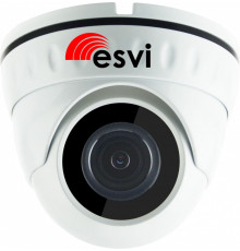 EVC-DNT-SL20P/A/C (BV) купольная уличная IP видеокамера 2МП